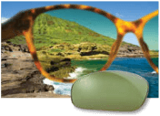 Maui Jim Sonnenbrillen in grün ht bei Optik Sagawe