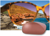 Maui Jim Sonnenbrillen in maui rose bei Optik Sagawe